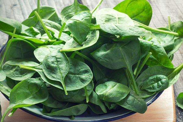 سبزیجات با برگ سبز یک غذای ضد سرطان سینه